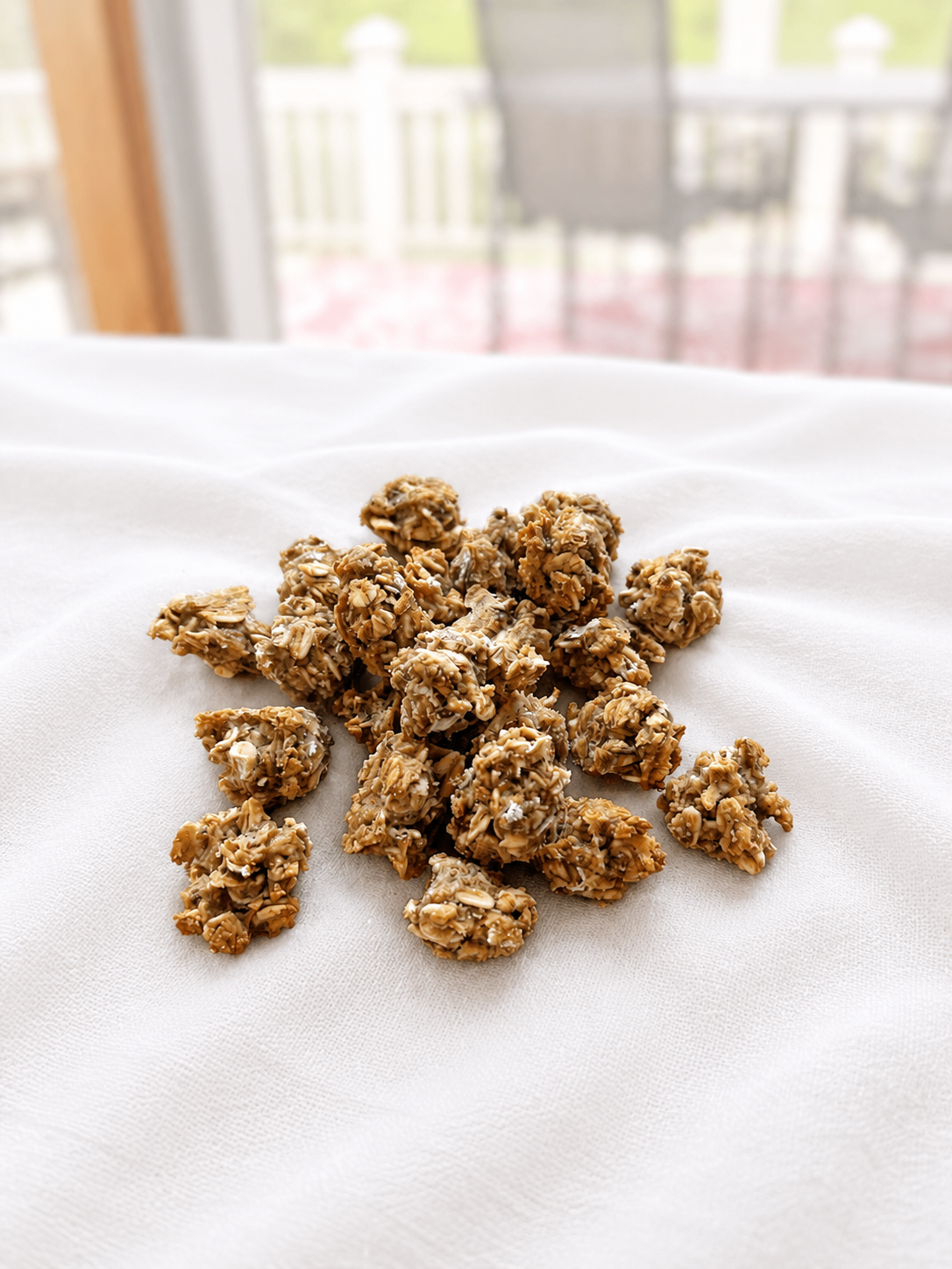 Banana Oat Training Bites